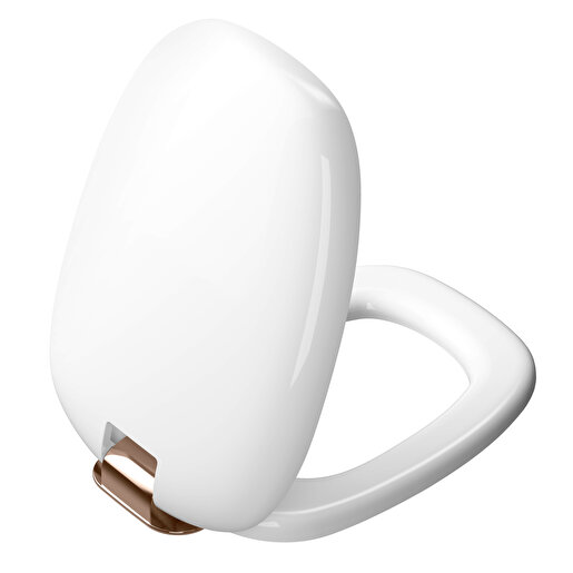 Plural Toilet seat cover