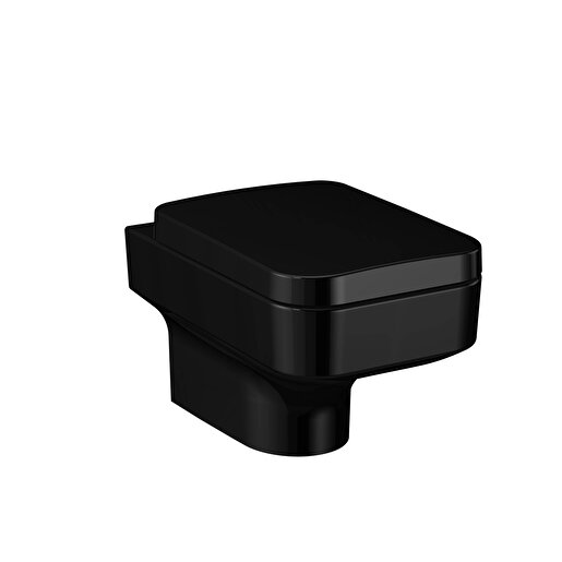 Water Jewels Wall hung toilet
