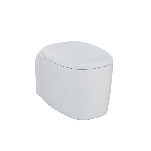 Plural Hanging toilet seat