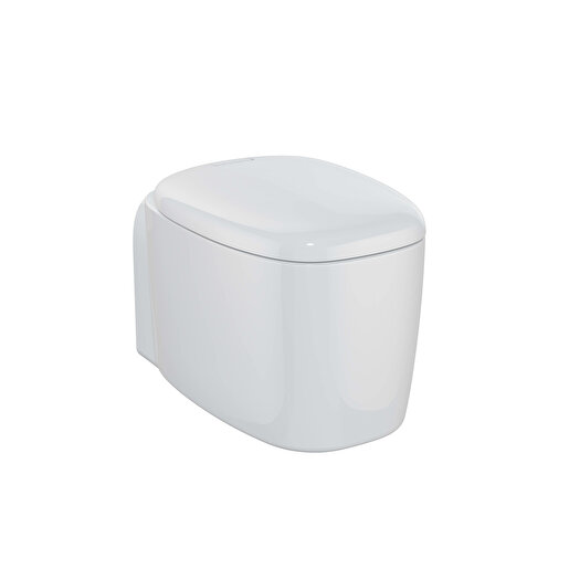 Plural Hanging toilet seat