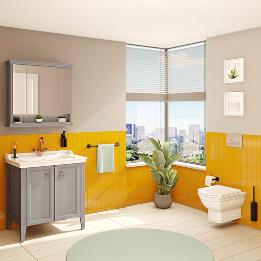 Valarte Toilet seat - Image 4