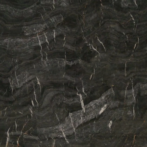 Andromeda Black