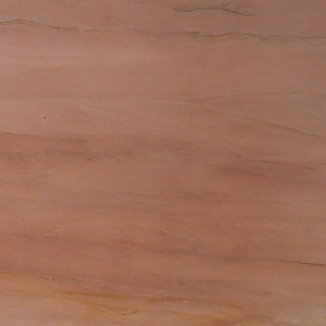Pink Onion