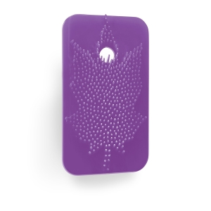 FRESHENER LEAF - CHERRY FOR STICK DOOR ODOR BOX | 200205