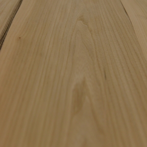ELM