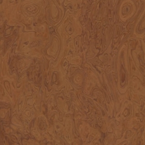 10.05 Elm Burl