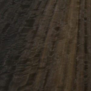 EUCALYPTUS SMOKED / FUMED