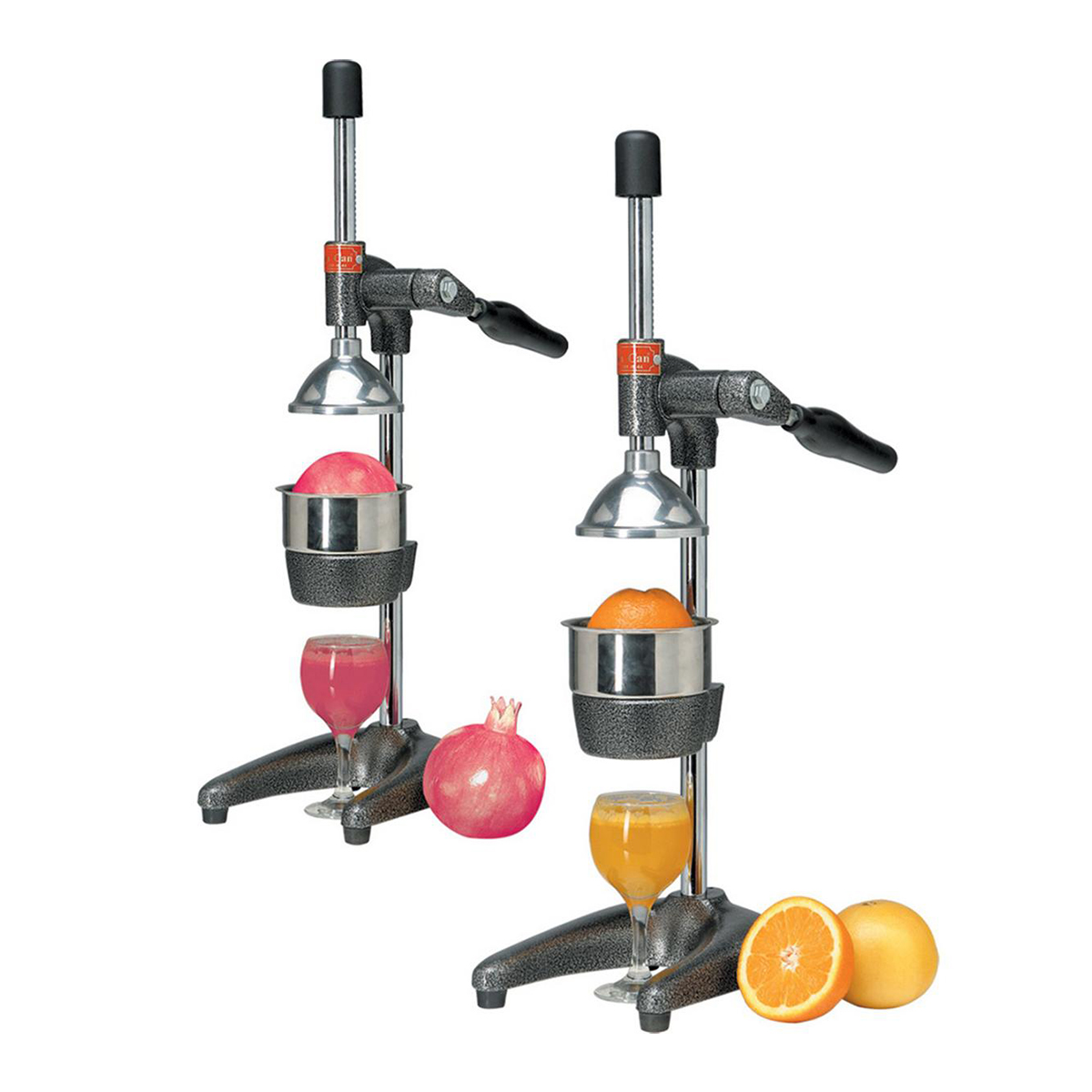 Fruit Juicing Press SmallNeutral