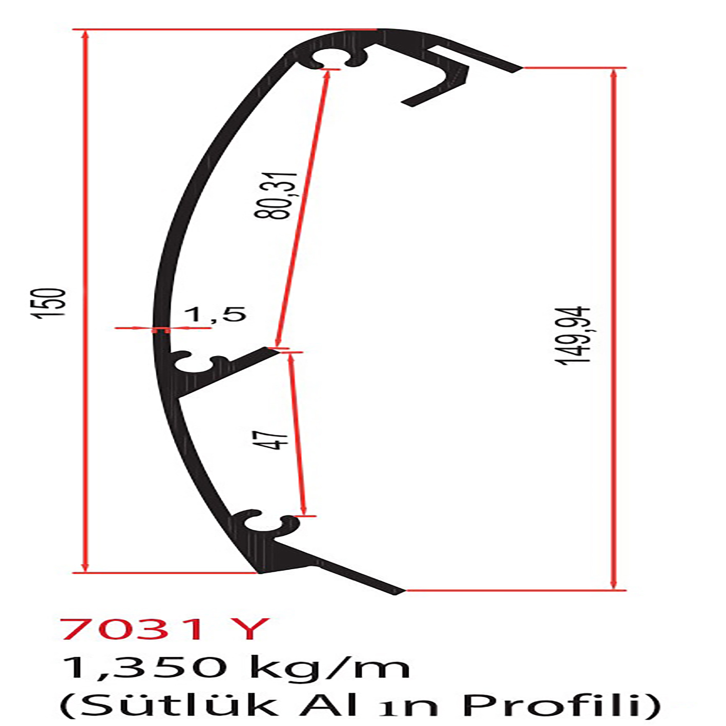 7031 Y