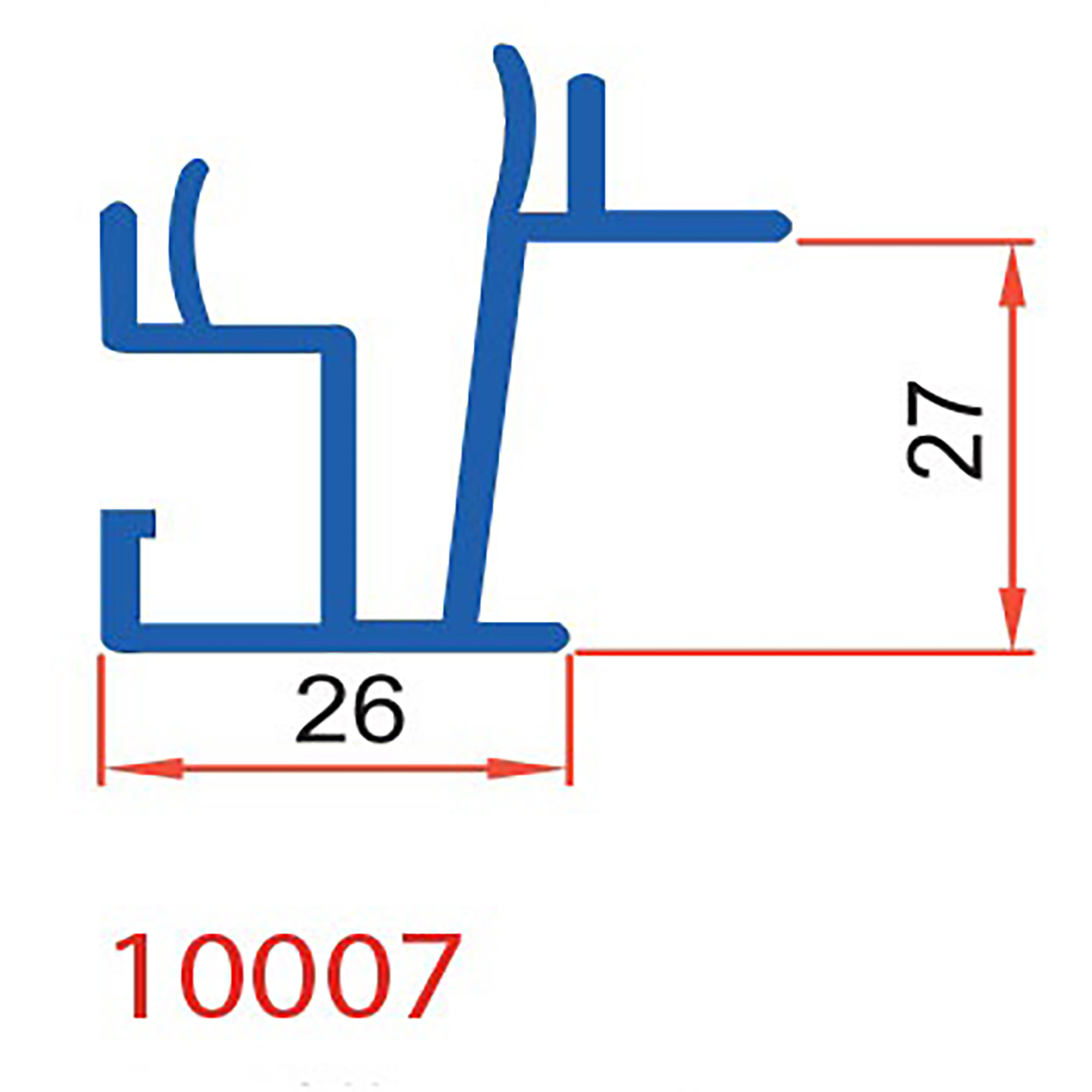 10007