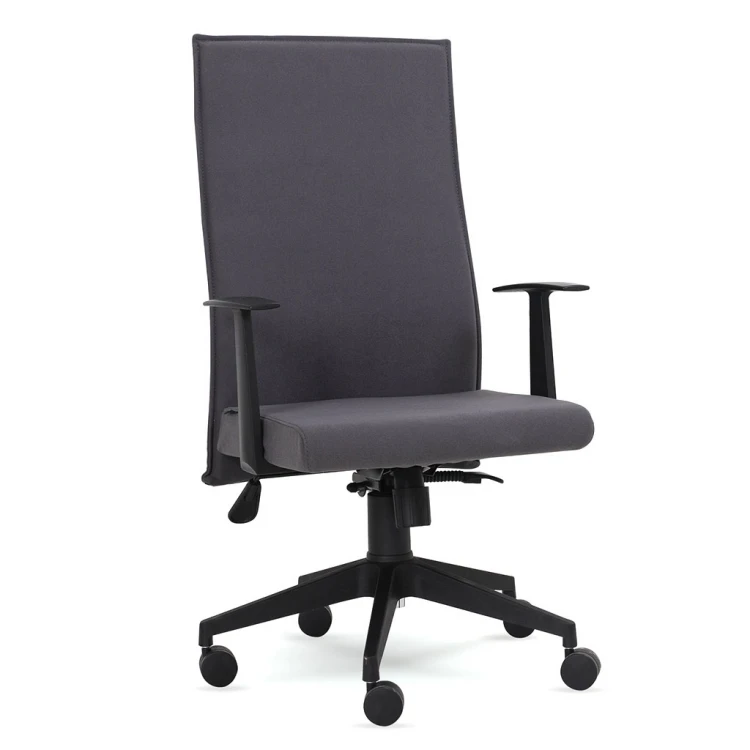 Acting Director's Chair
