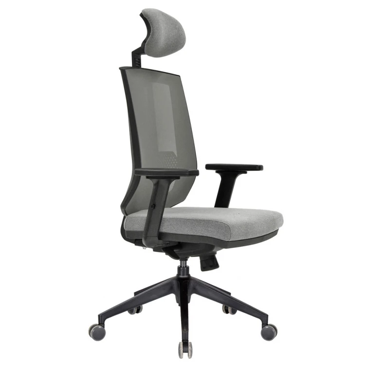Adlero Plastic Leg Executive Chair Synchronous Mechanism