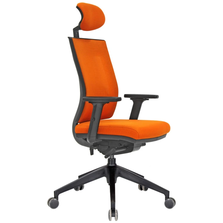 Afroza Plastic Leg Executive Chair Sliding Mechanism