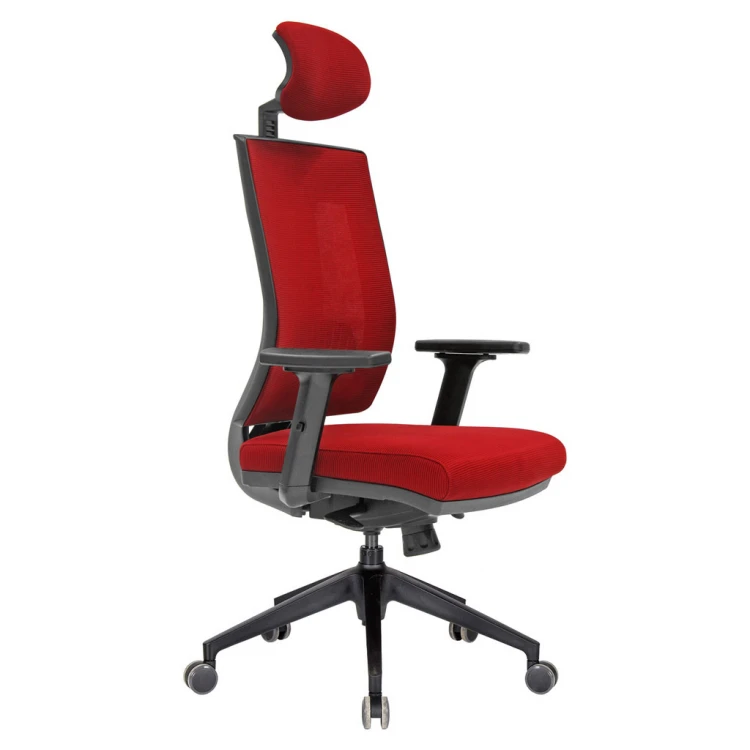 Afroza Plastic Leg Executive Chair
