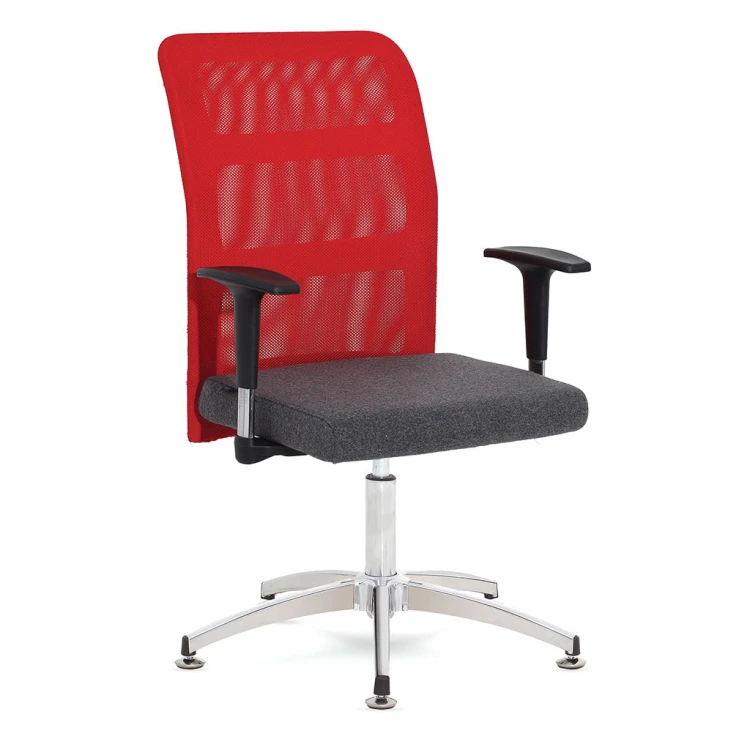 Count Star-Legged Swivel Guest Chair