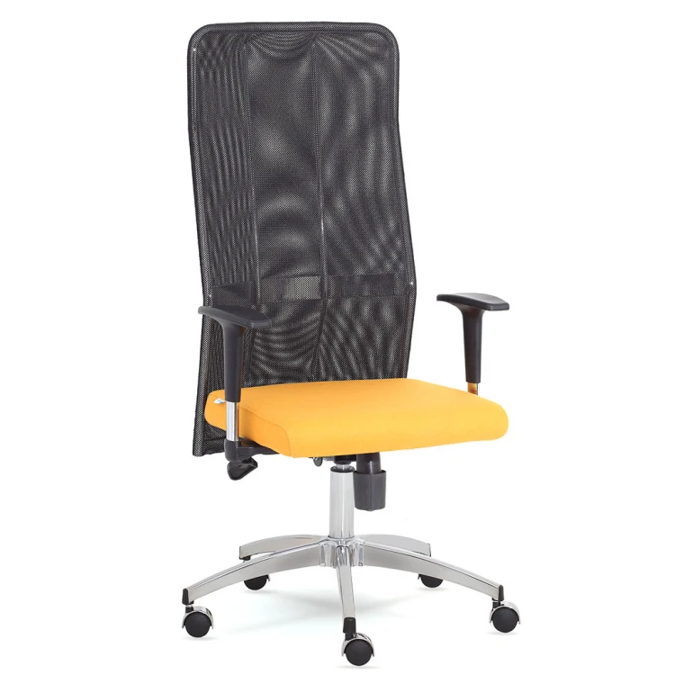 Flex Mesh Manager Chair