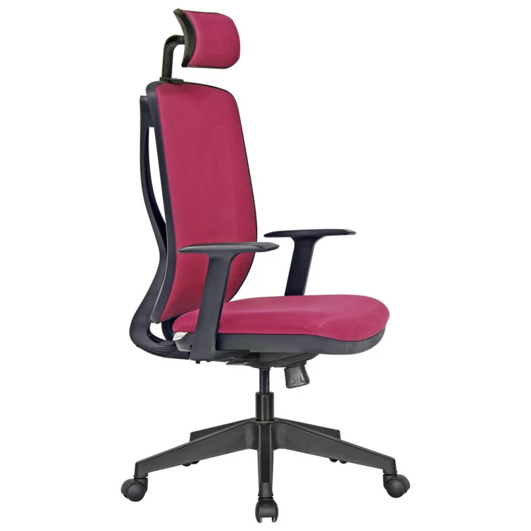 Flexy Plastic Leg Executive Chair Synchronous Mechanism