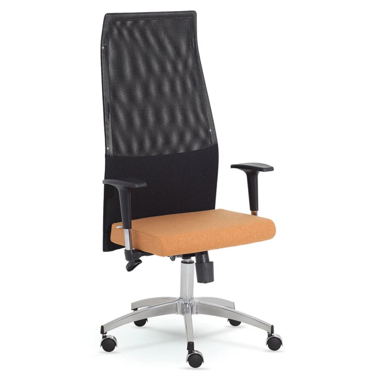 İdro Chrome Leg Manager Chair 02
