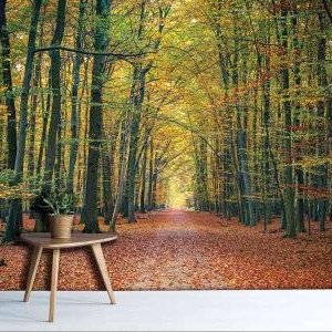 M 877 | LANDSCAPE MURAL WALLPAPER