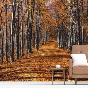 M 878 |LANDSCAPE MURAL WALLPAPER
