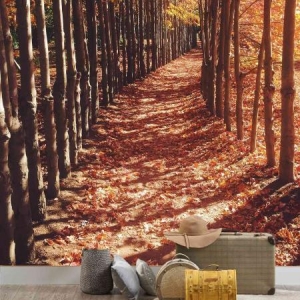 M 879 | LANDSCAPE MURAL WALLPAPER