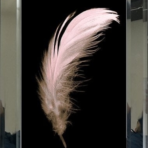 Mirrored Painting, Powder Feather