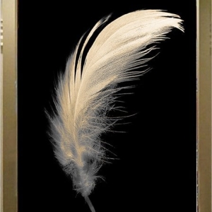 Mirrored Painting, Powder Feather
