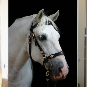Mirrored Table Horse