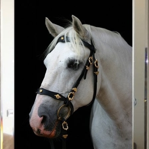 Mirrored Table Horse