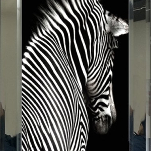 Mirrored Table, Zebra