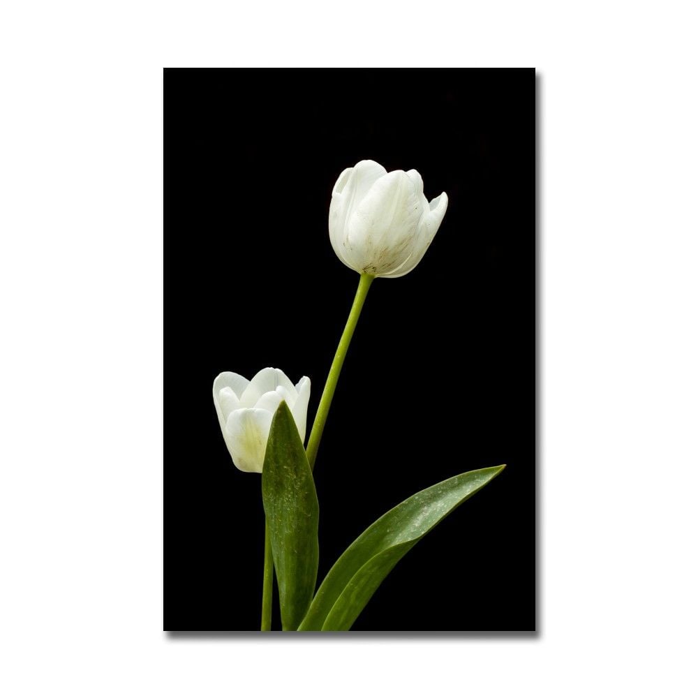 Embossed Flower Painting