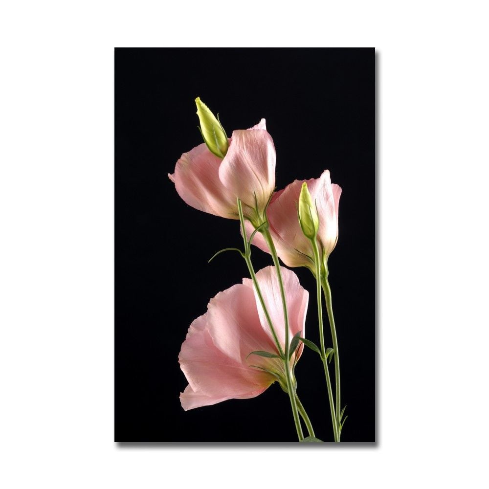 Embossed Flower Painting