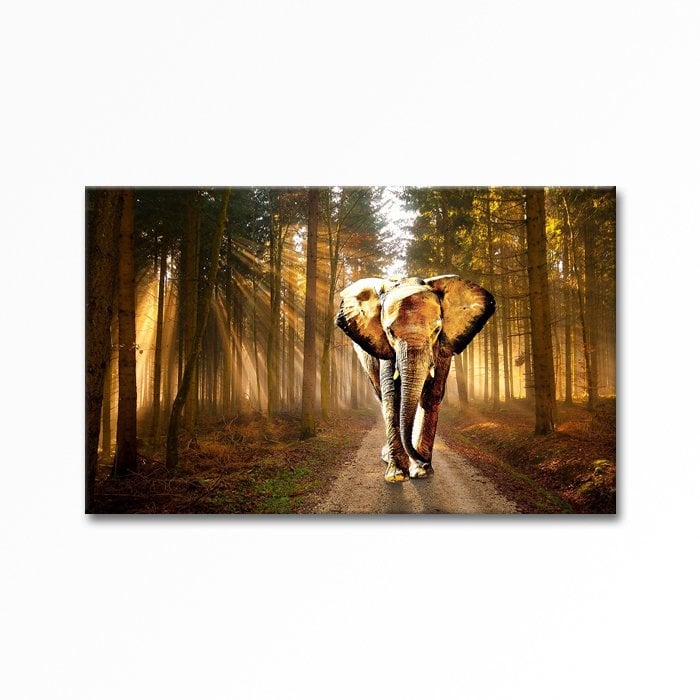 Relief Elephant Painting