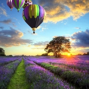 Flying Balloons