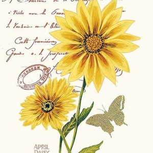 Yellow Daisy Painting