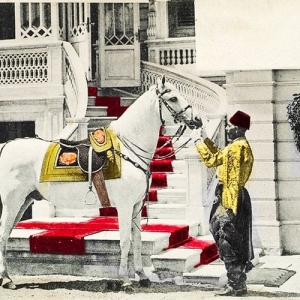 Ottoman Horse Painting