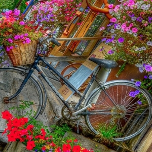 Floral Bicycle Painting