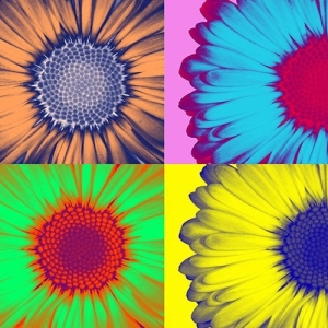 Daisy Painting