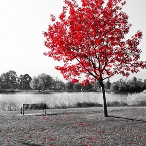 Tree Table