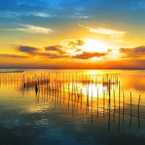 Sunset Painting