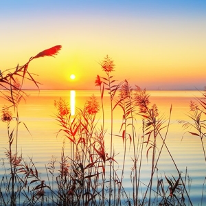 Sunset Painting