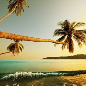 Palm Painting