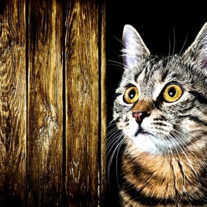 Cat Painting