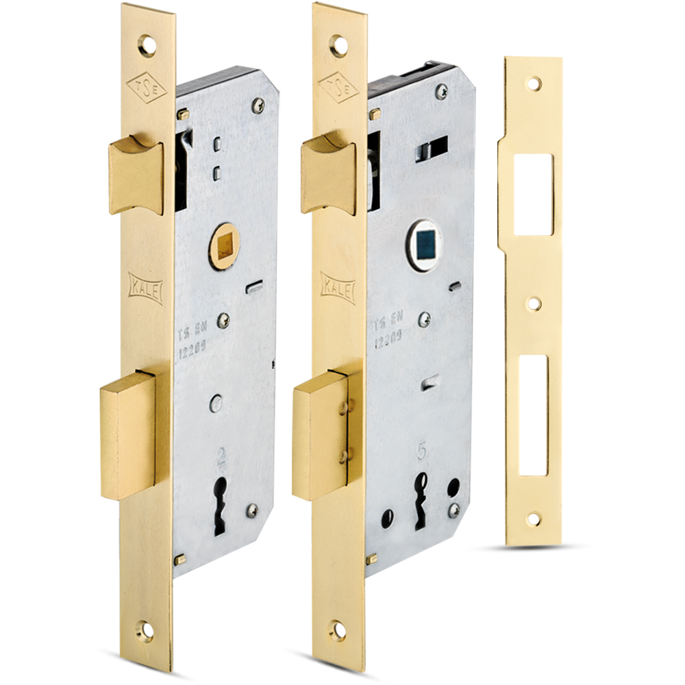Interior Mortise Lock