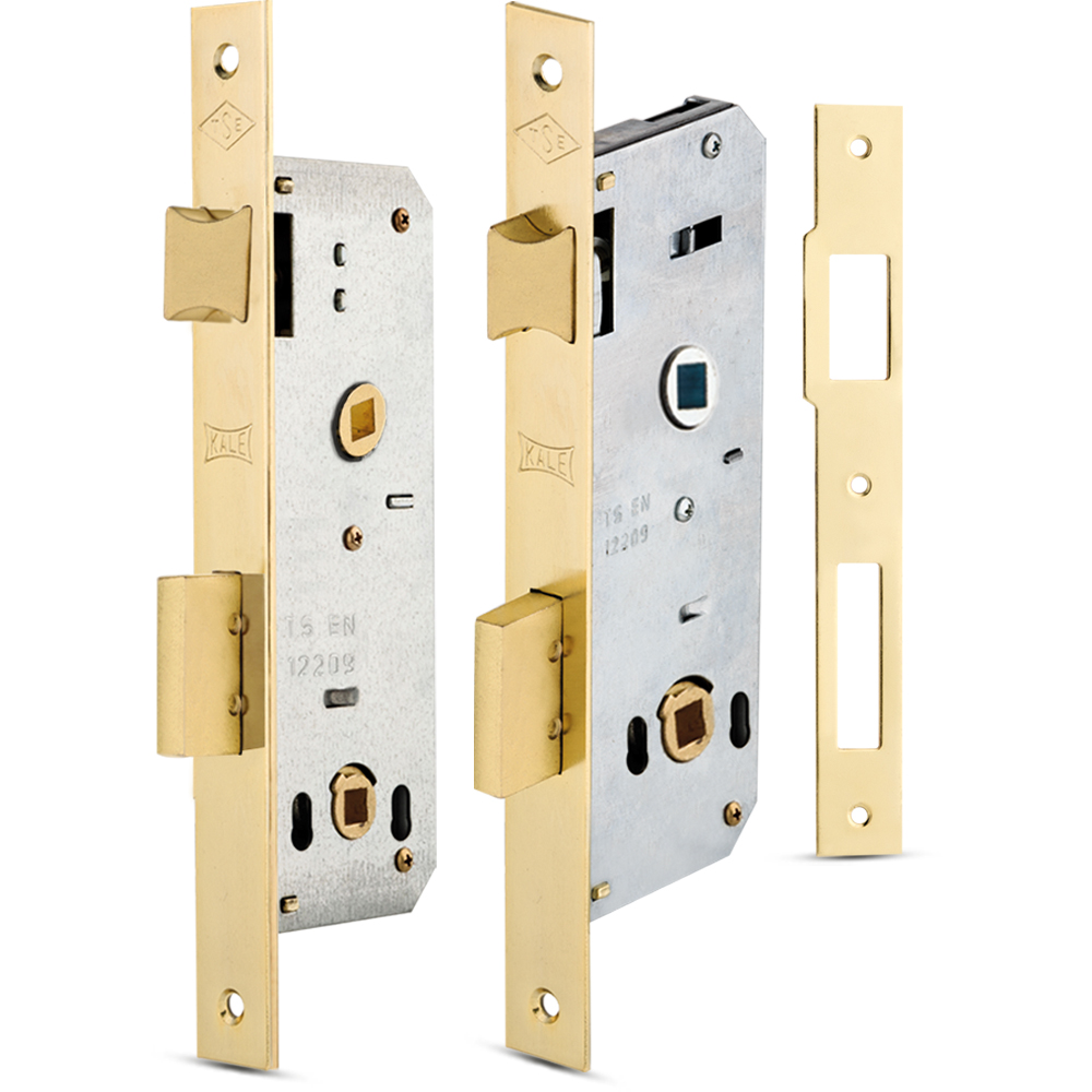 Interior Mortise Lock