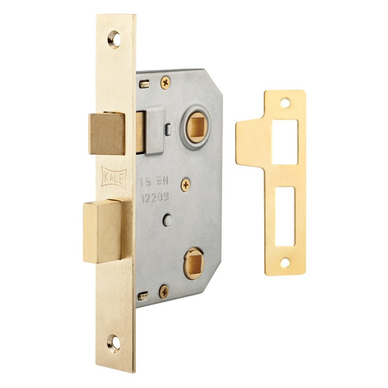 Interior Mortise Lock
