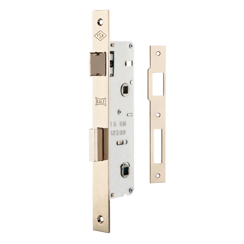 Interior Mortise Lock
