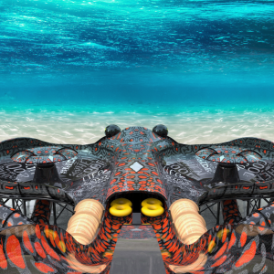 Stingray (NEW)