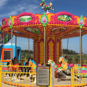 Merry Go Round 5,5